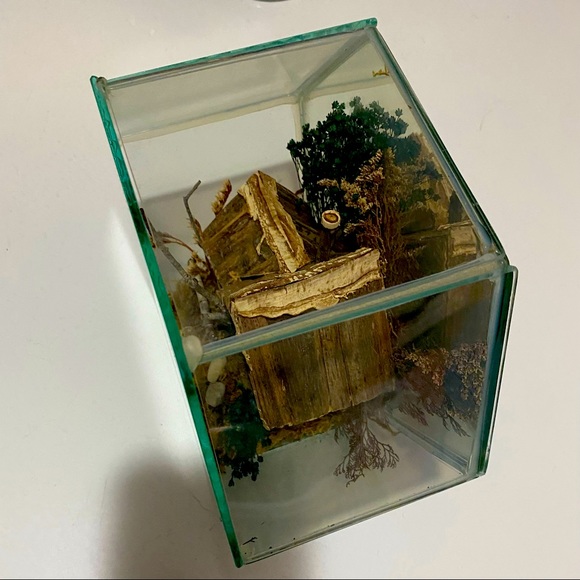 Glass Terrarium Cottage Decor - Picture 4 of 8